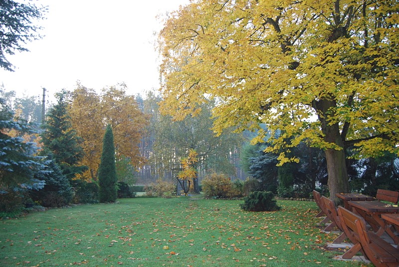pazdziernik_pod_lipa_01