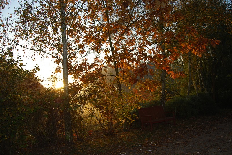 pazdziernik_pod_lipa_03